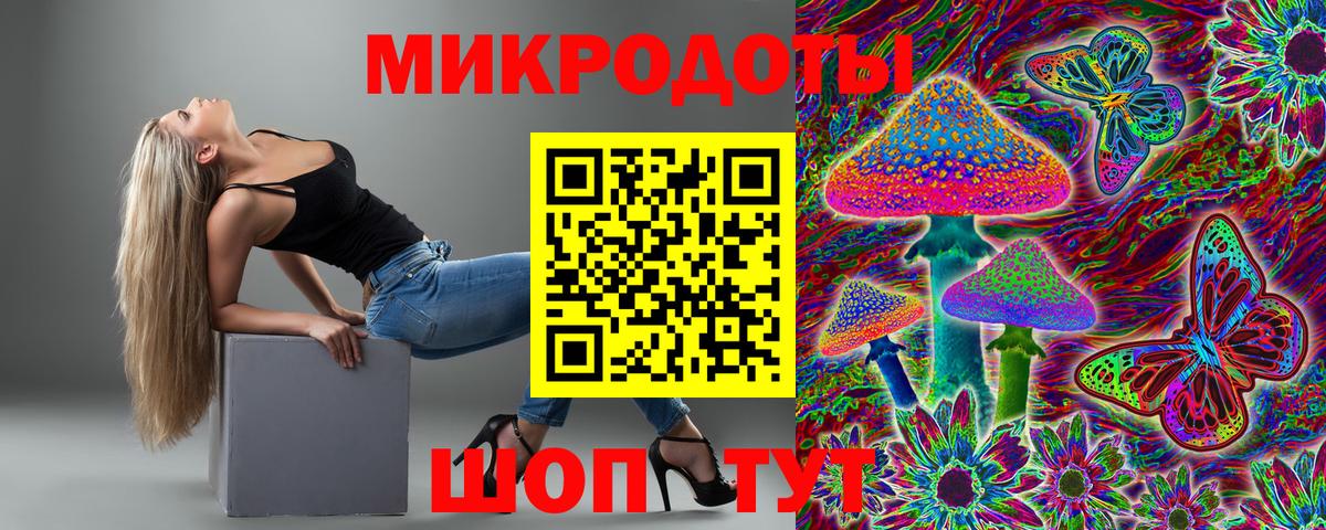 Псилоцибиновые грибы прущие грибы Верхняя Салда