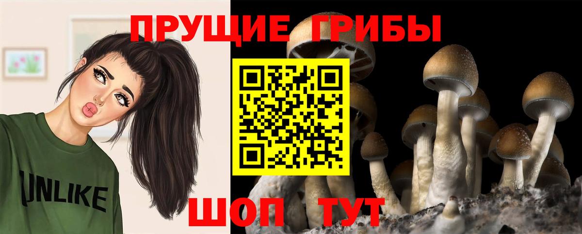 Псилоцибиновые грибы GOLDEN TEACHER  Вход с VPN  Верхняя Салда 